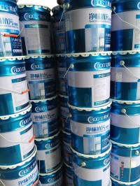 宝琪阁内墙乳胶漆