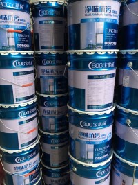 宝琪阁内墙乳胶漆